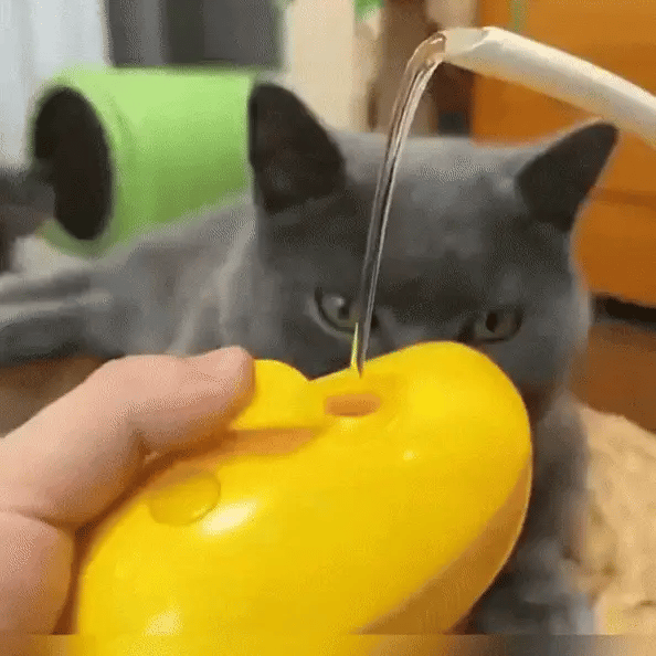 CEPILLO CON MANGO A VAPOR 3 EN 1 PARA MASCOTAS